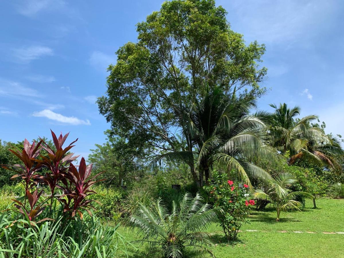 Lovely Garden Villas Pantai Cenang  Extérieur photo