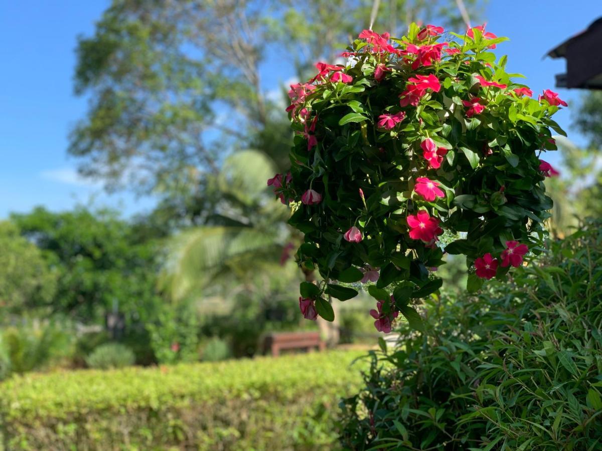 Lovely Garden Villas Pantai Cenang  Extérieur photo